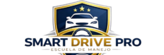 SmartDrivePro